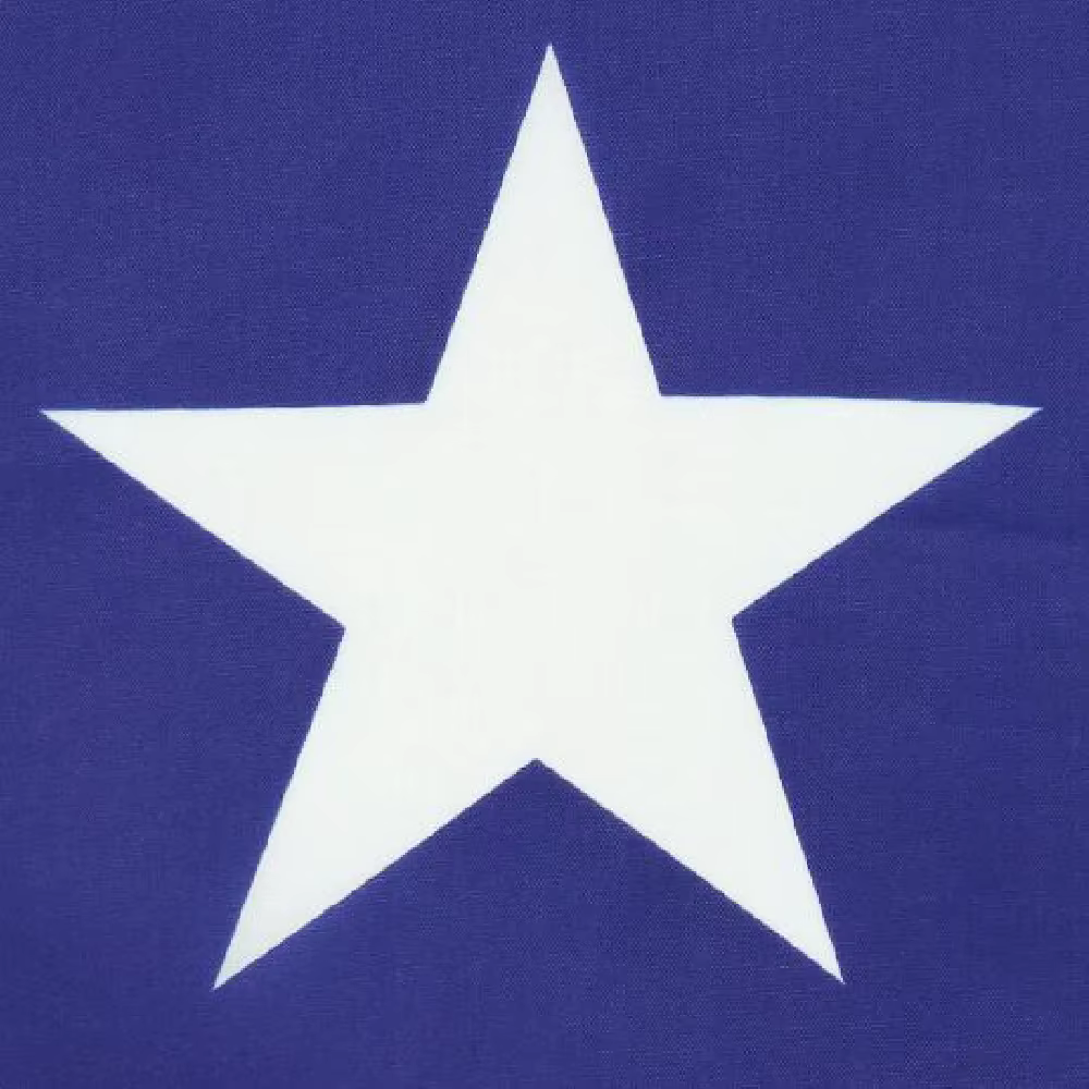 FLAGLINK bandera Samoa para exterior resistente al clima duradera - imagen 4