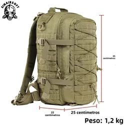 Parche bordado palabras académico – Colección insignia militar cotton