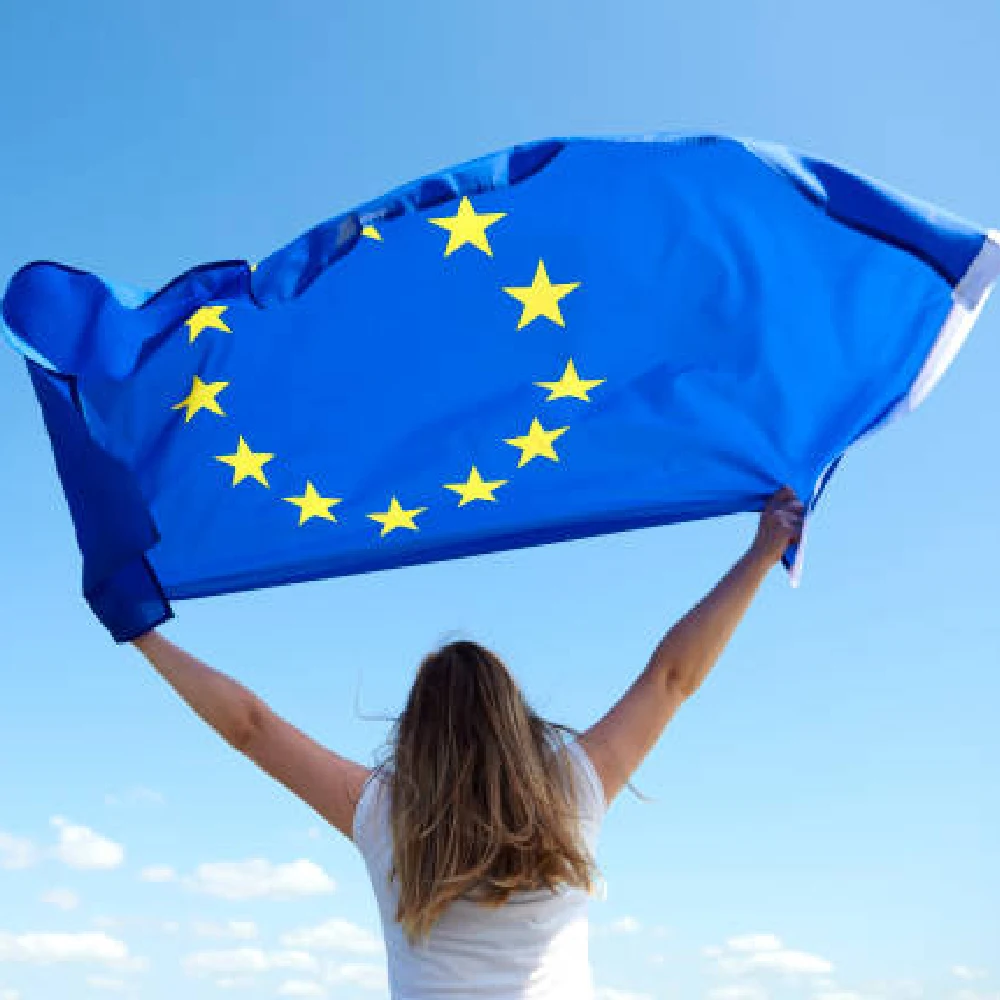 FLAGLINK Bandera Unión Europea – Decoración interior y exterior