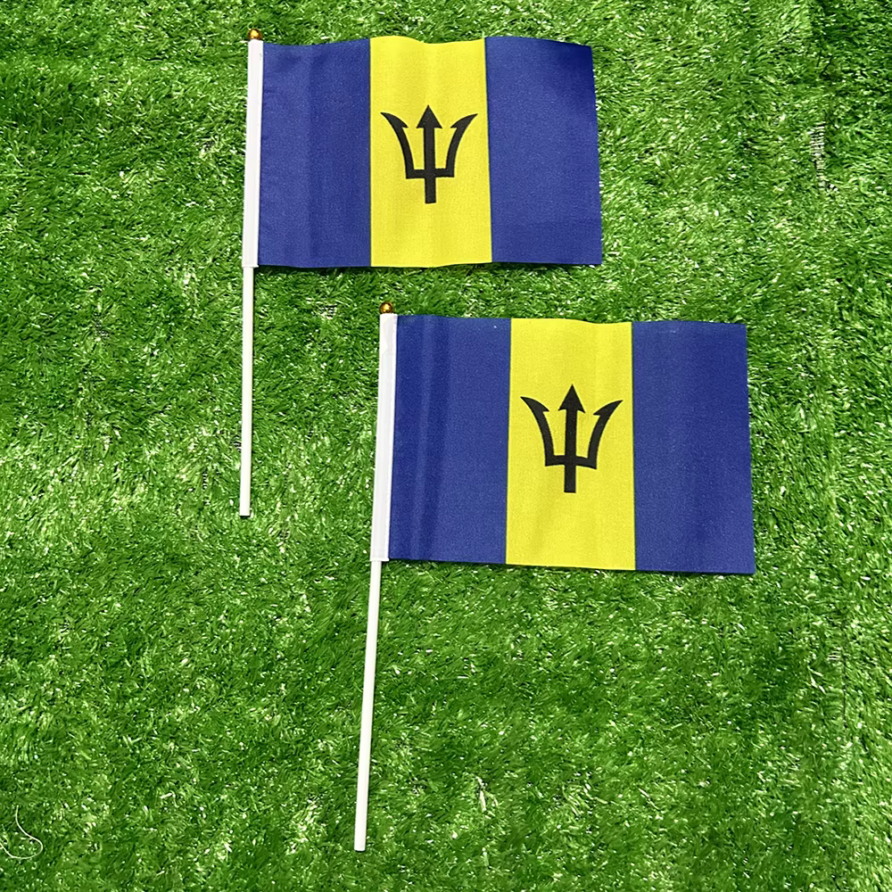 Banderas de mano con asta de plástico
