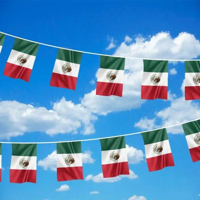 SKY FLAG Banderines de México para fiestas y decoración - imagen 3