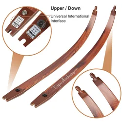 Dispositivo ILF arco recurvo 60” 25-62 lbs adultos principiantes