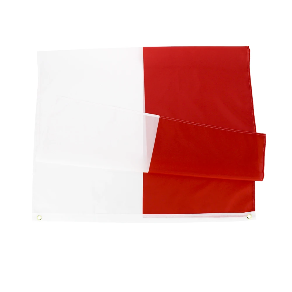 Bandera Polonia bordada Thuringia – Banderín militar surplus - imagen 2