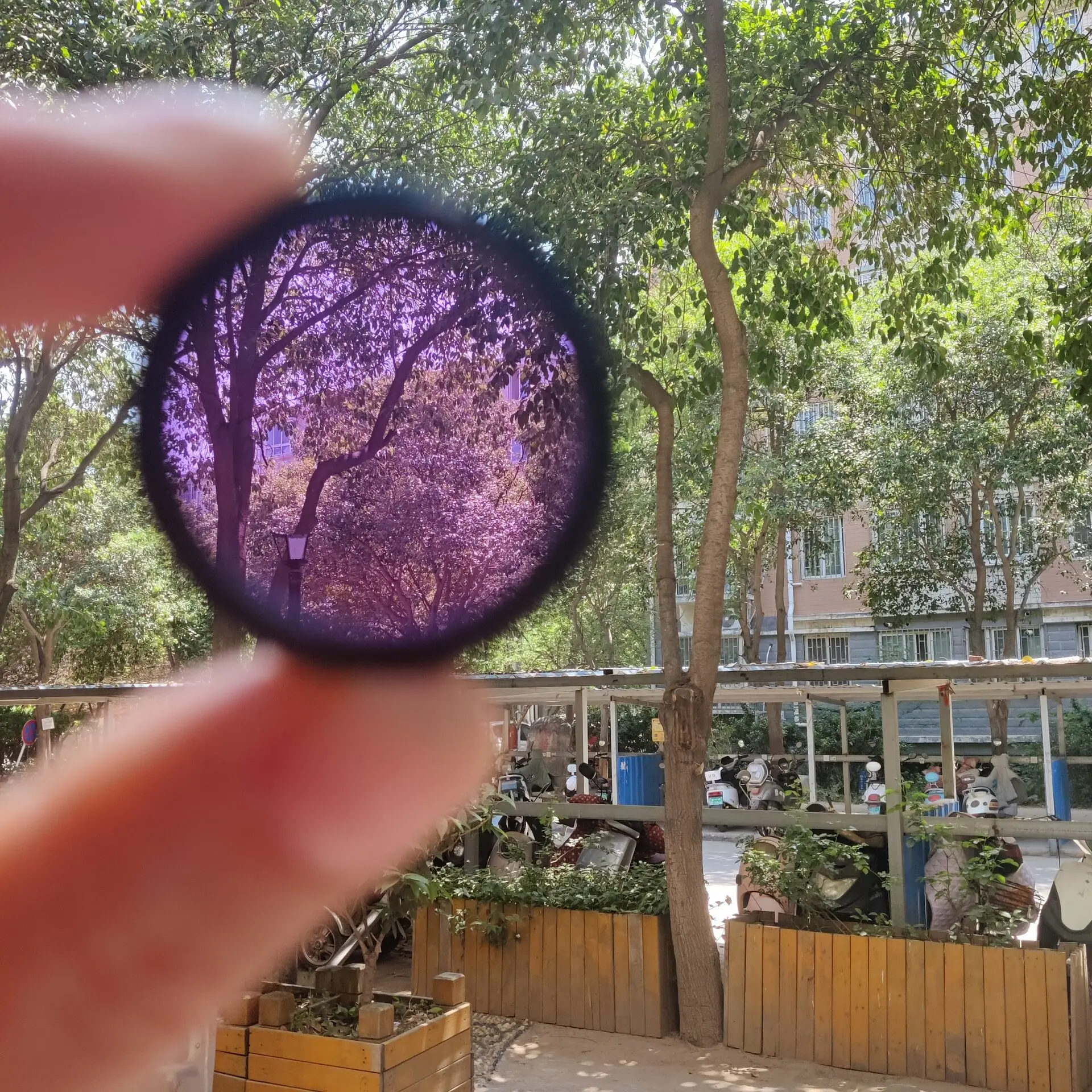 Filtro de lente morado para visión nocturna